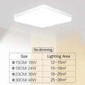 Guérip Pure Frame LED Ceiling Light